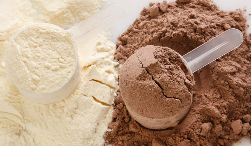Whey vs Plant Protein: Full Comparison