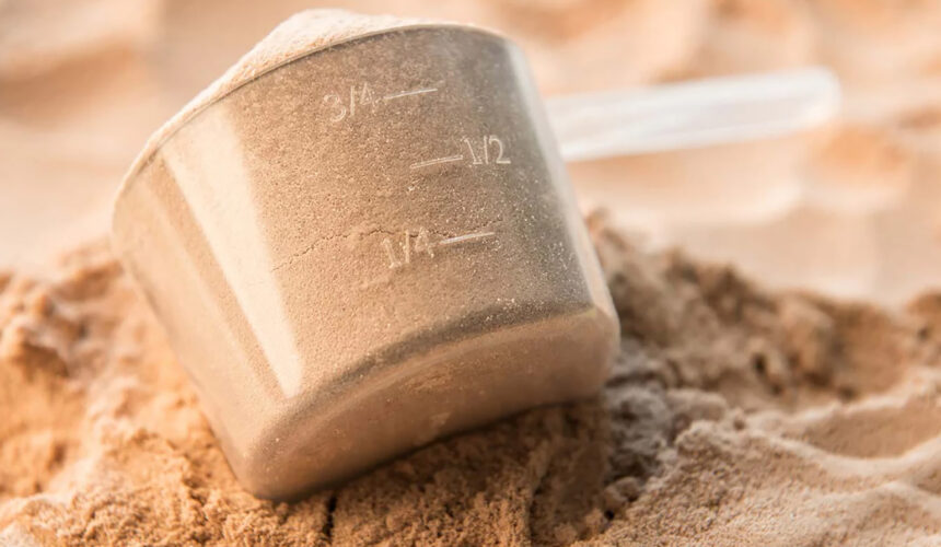 Protein Myths Busted: Beginner’s Guide