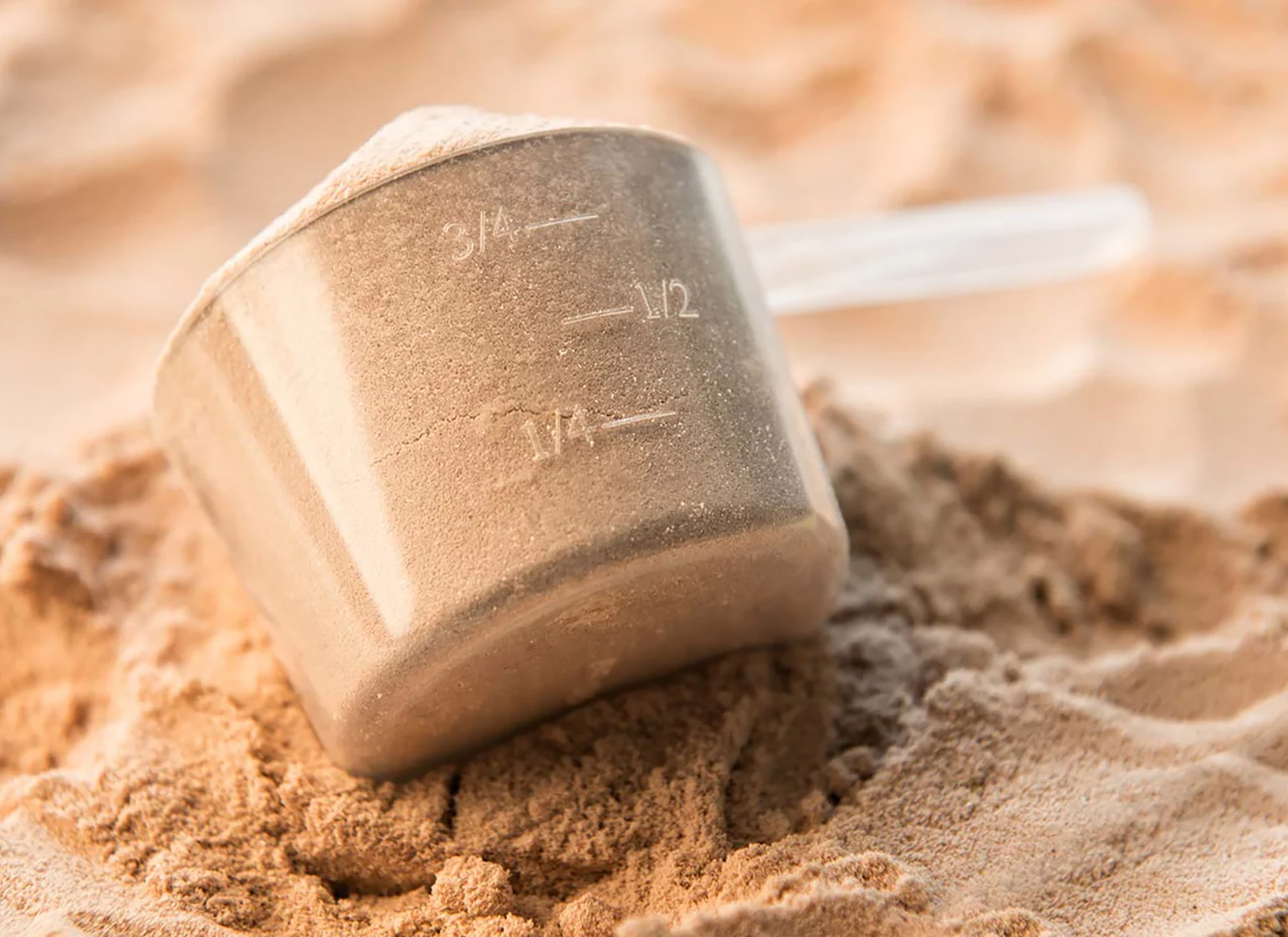 Protein Myths Busted: Beginner’s Guide