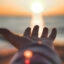 Vitamin D: 5 Best Food Sources and Benefits