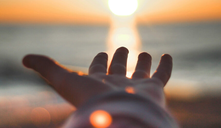 Vitamin D: 5 Best Food Sources and Benefits