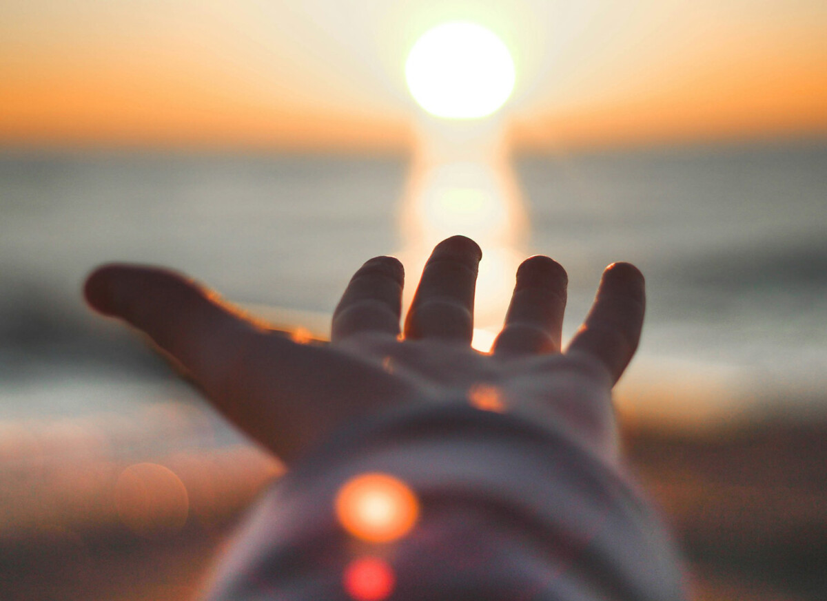 Vitamin D: 5 Best Food Sources and Benefits